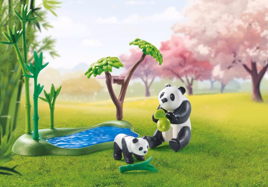 Aziatische tuin met panda